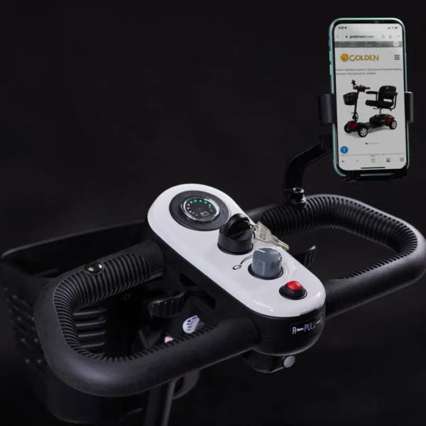 13-1 Golden Buzzaround XL 4-wheel