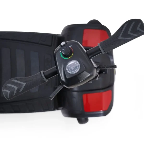 8 Golden Buzzaround LT 4-wheel with Microturn